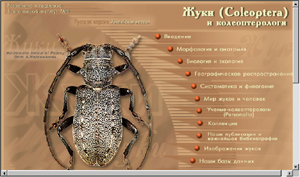 http://www.zin.ru/Animalia/Coleoptera/rus/
